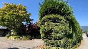 Hedge Face