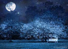The Magic Of Moonlight Gardens Meghan