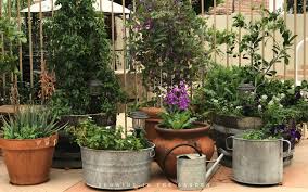 Water Outdoor Potted Plants