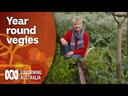 Vegetable Crops That Can Be Planted