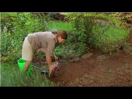how to mix peat moss topsoil