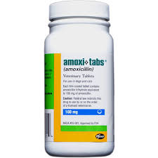 Amoxicillin 100 Mg Sold Per Tablet