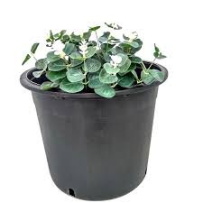 Outdoor plant pots, planters & plant stands. Garden 7 Gallon Large Outdoor Pots For Plants Wholesale Reliable Suppliers Yubo