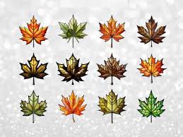 Maple Leaves Stained Glass Cliparts