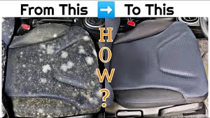 clean mold fungus from car interior