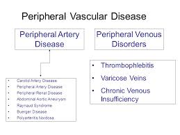 Peripheral Vascular Disease Ppt Video Online Download