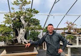 new england bonsai gardens excellence