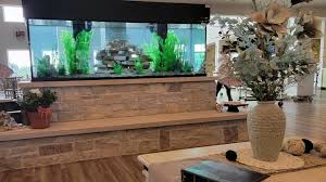 Aquarium Cleaning Service Cost Are The