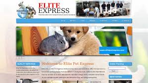 I came to know worldpet express, they are the pharmacy for the pets. Pet Delivery Scam Website Elitepetexpress Com