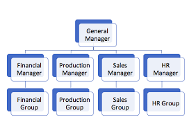 Types Of Organizational Charts Which One Is The Right Fit