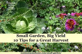 Small Garden Ideas 10 Tips To Grow