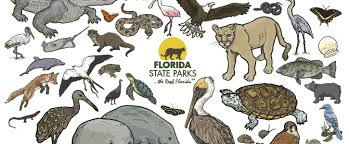 Jun 16, 2021 · 7. Critter Sheets Florida State Parks