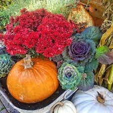 Fall Planters And Container Gardens