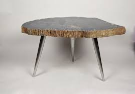 Petrified Wood Coffee Table With