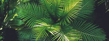 Pada tutorial ini, kita akan belajar tentang array pada javascript. Loker Pertanian Pt Surya Hutani Jaya Posisi Technician Forest Resources Development Deadline 20 Desember 2020