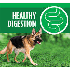 Iams Proactive Health Adult Dry German Shepherd Dog Food Iams