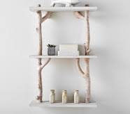 Easy diy floating shelves no bracket | diy creators. Kids Shelves Decorative Shelves Bookracks Pottery Barn Kids
