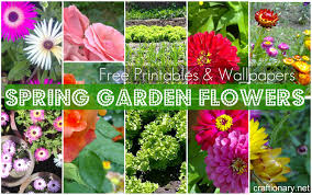 spring in my garden free printables