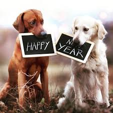 This page is for lost and found pets in jackson county fla and local surrounding area's only, all other posts will be deleted. Happy New Year To All Our Fur Friends Partners For Pets Facebook