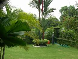 May various best collection of pictures for your need, whether the particular of the photo are harmonious photographs. Home Garden Tips On Creating A Beautiful Home Garden Trees