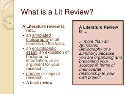 Table for the Literature Review     Moving around by Mohammad Nazmul