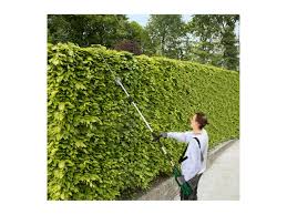 parkside long reach hedge trimmer