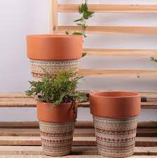 whole plant pots terracotta clay