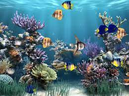aquarium animated wallpaper télécharger