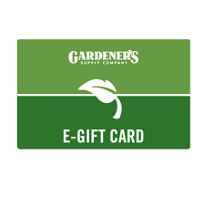 60 Best E Gift Cards To Send As Last