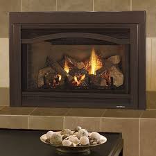 Gas Inserts Fireside Hearth Home