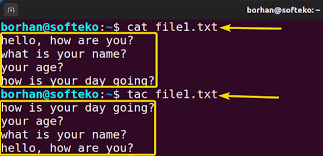 the cat command in linux 10