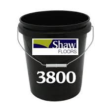 shaw 3800 adhesive indoor outdoor