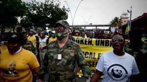 Carl niehaus is the spokesperson for the umkhonto we sizwe military veterans' association. Anc Carl Niehaus Leads A Group Of Anc Protesters To The Zondo Commission To Hand Over Demands