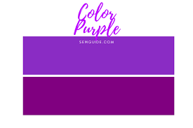 purple color in fashion sew guide