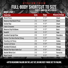 Jim Stoppani Full Body Shortcut To Size Workout Jobs For