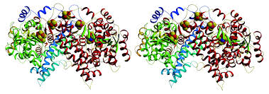 Prolonged exposure to carbon monoxide rich atmospheres may be fatal. Crystal Structure Of A Carbon Monoxide Dehydrogenase Reveals A Ni 4fe 5s Cluster Science