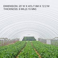 vevor 25 ft x 40 ft 6 mil greenhouse