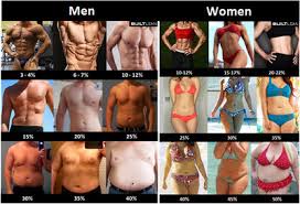 Body Fat Percentage Bf The Red Bikini Project