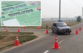 how can citizens obtain driving license