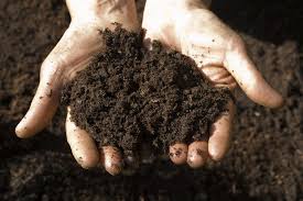 खेतों में ह्यूमिक एसिड के प्रयोग से बढ़ा सकते हैं मिट्टी की सेहत