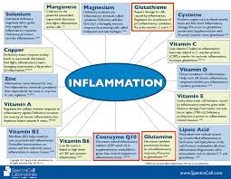 Diet For Inflammation