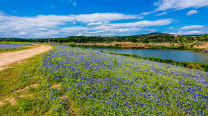 owner financed land texas explore the