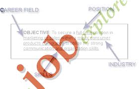 Should you include a resume objective or a resume summary in your job application? General Resume Objectives Summary Examples Of Resume Objective