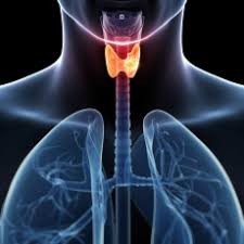 Thyroid cancer is a rare type of cancer that affects the thyroid gland, a small gland at the base of the neck that produces hormones. Thyroid Cancer Thyroid Cancer Treatment Medlineplus