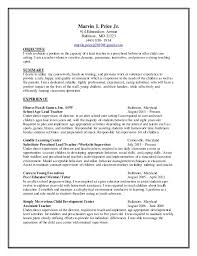 Child Care Director Resume Objective Preparing A Resume