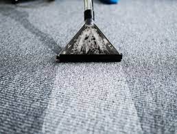 carpet cleaning services in traverse