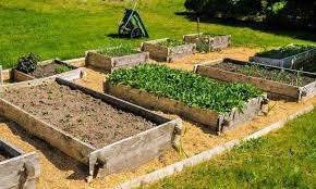 How Deep Should A Raised Garden Bed Be