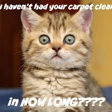 carpet cleaning in gillette wy