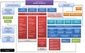 Sainsburys Organisational Structure Chart