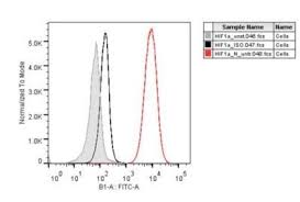 Applications Guide How To Choose Fluorophore Combinations